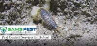 Sams Silverfish Control Hobart image 2